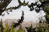 Insel: Santiago  Wanderweg:  Ort: Principal Motiv: Blick durch Bume Motivgruppe: Landscape Mountain © Florian Drmer www.Cabo-Verde-Foto.com