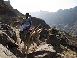 Insel: Santiago  Wanderweg:  Ort: Principal Motiv: Junge mit Esel Motivgruppe: Landscape Mountain © Florian Drmer www.Cabo-Verde-Foto.com