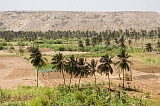 Santiago : Ra Seca : plantation : Landscape Agriculture
Cabo Verde Foto Gallery