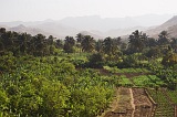 Santiago : Ra Seca : plantation : Landscape Agriculture
Cabo Verde Foto Gallery