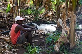 Santiago : Ra Seca : Irrigated agriculture : Technology Agriculture
Cabo Verde Foto Gallery