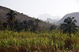 Santiago : Ra Seca : plantation : Landscape Agriculture
Cabo Verde Foto Gallery