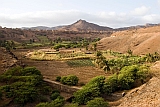 Santiago : Calheta : plantation : Landscape Agriculture
Cabo Verde Foto Gallery