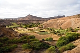 Santiago : Calheta : plantation : Landscape Agriculture
Cabo Verde Foto Gallery