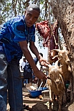 Insel: Santiago  Wanderweg:  Ort: Assomada Motiv: Metzgerei Motivgruppe: Technology Agriculture © Florian Drmer www.Cabo-Verde-Foto.com