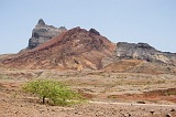 Insel: Santiago  Wanderweg:  Ort: Ribeira da Branca Motiv: Baum Motivgruppe: Landscape Mountain © Florian Drmer www.Cabo-Verde-Foto.com