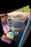 Insel: Fogo  Wanderweg:  Ort: Ch das Caldeiras Motiv: Bohne Motivgruppe: People Work © Florian Drmer www.Cabo-Verde-Foto.com