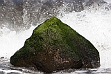 Insel: Fogo  Wanderweg:  Ort: So Filipe Motiv: n.a. Motivgruppe: Nature © Florian Drmer www.Cabo-Verde-Foto.com
