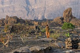 Fogo : Ch das Caldeiras : farmer : People Men
Cabo Verde Foto Gallery