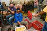 Fogo : Ch das Caldeiras : vinho : People Work
Cabo Verde Foto Galeria