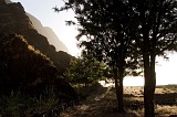 Insel: Fogo  Wanderweg:  Ort: Ch das Caldeiras Motiv: Morgen Motivgruppe: Landscape Mountain © Florian Drmer www.Cabo-Verde-Foto.com