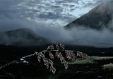 Fogo : Ch das Caldeiras : morning : Landscape Mountain
Cabo Verde Foto Gallery