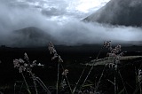 Fogo : Ch das Caldeiras : manh : Landscape Mountain
Cabo Verde Foto Galeria