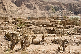 Brava : Faj d gua : paisagem : Landscape Agriculture
Cabo Verde Foto Galeria