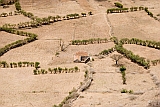 Brava : Fontainhas : field : Landscape Agriculture
Cabo Verde Foto Gallery