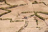 Insel: Brava  Wanderweg:  Ort: Fontainhas Motiv: Feld Motivgruppe: Landscape Agriculture © Florian Drmer www.Cabo-Verde-Foto.com