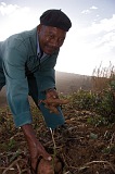 Insel: So Nicolau  Wanderweg:  Ort: Cabealinho Motiv: Landwirt Motivgruppe: People Work © Florian Drmer www.Cabo-Verde-Foto.com