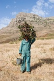 Insel: So Nicolau  Wanderweg:  Ort: Cabealinho Motiv: Landwirt Motivgruppe: People Work © Florian Drmer www.Cabo-Verde-Foto.com