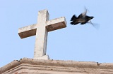 So Nicolau : Vila da Ribeira Brava : dove with crucifix : People Religion
Cabo Verde Foto Gallery