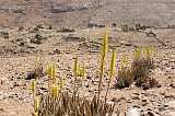 So Nicolau :  : deserted village : Landscape Town
Cabo Verde Foto Gallery