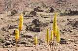 So Nicolau :  : deserted village : Landscape Town
Cabo Verde Foto Gallery