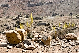 So Nicolau :  : deserted village : Landscape Town
Cabo Verde Foto Gallery