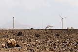 Insel: Sal  Wanderweg:  Ort: Palmeira Motiv: Windrad Motivgruppe: Landscape Desert © Florian Drmer www.Cabo-Verde-Foto.com