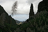 Insel: Santo Anto  Wanderweg:  Ort: Lombo de Pico Motiv: Wanderweg Motivgruppe: Landscape Mountain © Florian Drmer www.Cabo-Verde-Foto.com