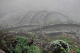 Santo Anto : Bordeira de Norte : hiking trail : Landscape Mountain
Cabo Verde Foto Gallery