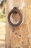 Santiago : Cidade Velha : pillory : Landscape Town
Cabo Verde Foto Gallery