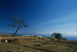 Santo Antão : Mesa do Porto Novo : dra and abandoned : Landscape
Cabo Verde Foto Gallery