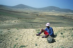Santo Anto : Campo Redondo : intervalo na puzzulana : Landscape Mountain
Cabo Verde Foto Galeria