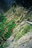 Santo Anto : Ribeira de Losna : caminho vizinal : Landscape Agriculture
Cabo Verde Foto Galeria