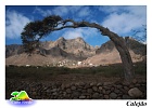 So Nicolau : Calejo : tree : Landscape Mountain
Cabo Verde Foto Gallery