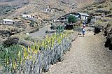 So Nicolau : Palhal : hiking trail : Landscape Mountain
Cabo Verde Foto Gallery