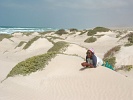 Boa Vista : Praia Cabo Santa Maria : duna : Landscape Sea
Cabo Verde Foto Galeria