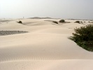 Boa Vista : Deserto Viana : deserto : Landscape Desert
Cabo Verde Foto Galeria