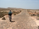 Boa Vista : Bofareira : desert : Landscape Desert
Cabo Verde Foto Gallery