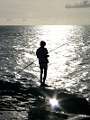 Santo Anto : Canjana Praia Formosa : fisherman : Landscape Sea
Cabo Verde Foto Gallery