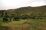 Insel: Brava  Wanderweg:  Ort: Cova de Pal Motiv: Felder Motivgruppe: Landscape Agriculture © Pitt Reitmaier www.Cabo-Verde-Foto.com