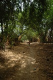 Insel: Santiago  Wanderweg:  Ort: Calheta Motiv: Wanderweg Motivgruppe: Landscape Forest © Pitt Reitmaier www.Cabo-Verde-Foto.com