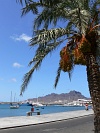 So Vicente : Mindelo : palm tree : Landscape Sea
Cabo Verde Foto Gallery