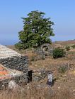 Fogo : Mae Chabi Maria Chave : farm : Landscape
Cabo Verde Foto Gallery