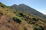 Fogo : Montinho : vegetao endmica : Landscape Mountain
Cabo Verde Foto Galeria