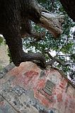 Brava : Vinagre : historical bath : Landscape
Cabo Verde Foto Gallery