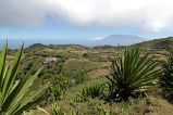 Brava : Fontainhas : planalto : Landscape
Cabo Verde Foto Galeria