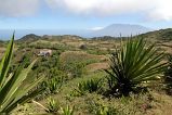 Brava : Fontainhas : highland : Landscape Mountain
Cabo Verde Foto Gallery