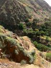 Brava : Ferreiros Odjo d Agua : hiking trail : Landscape Mountain
Cabo Verde Foto Gallery