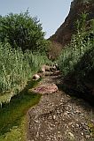 Santiago : Tabugal : hiking track : Landscape
Cabo Verde Foto Gallery