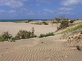 Maio : Calhetinha : dune : Landscape Sea
Cabo Verde Foto Gallery